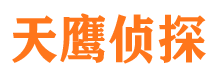 龙山市侦探公司